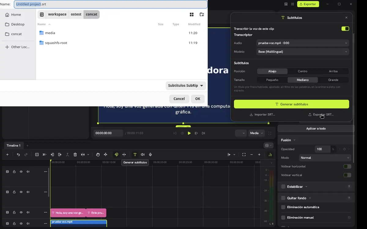 Captura 15 de nuestra prueba de Concat: Exportamos los subtítulos como archivo SRT.